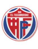 https://img.logiaufo.com/img/football/team/716538f8ce647982665ad98c59e7f663.png